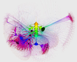 Visualisation de graphe de trs grande taille