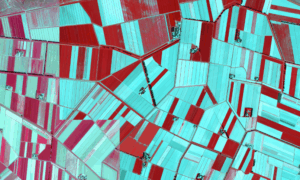 Image satellitaire infra-rouge. IGN.