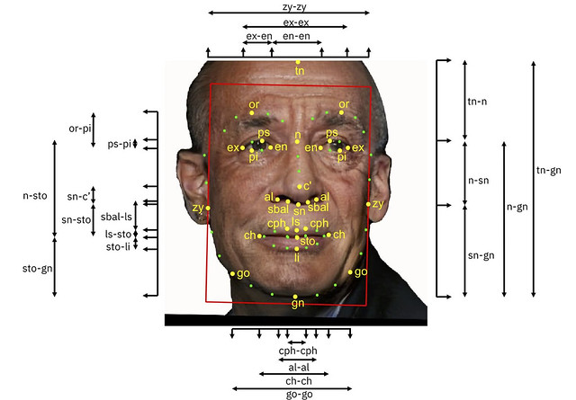 Cette photo montre le visage d'un homme sur lequel sont superposées des mesures de hauteur et de largeur (yeux, bouche, nez...).